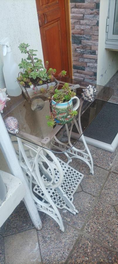 Bed and Breakfast La Ruta Del Jazz Санта-Крус Экстерьер фото